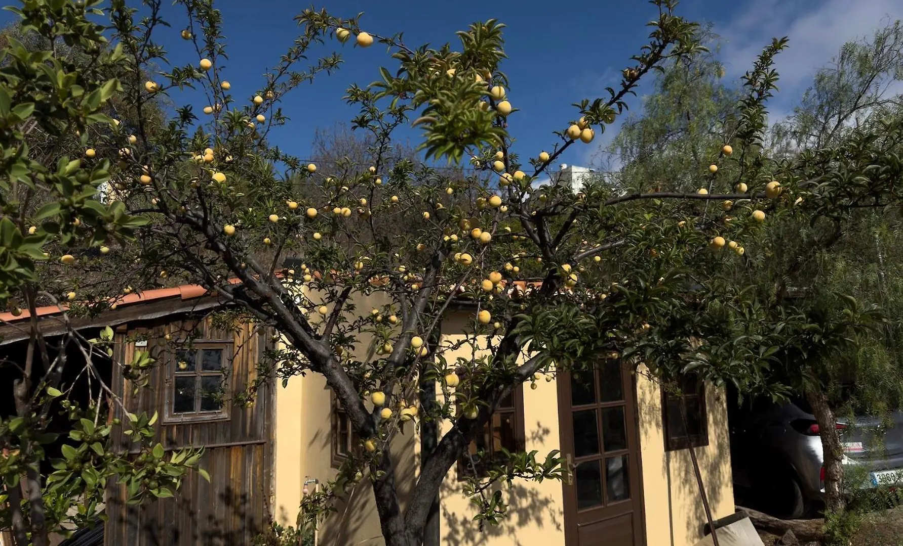 Finca Canopus Tijarafe Holiday home